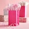 Small Magenta Paper Bags by Celebrate It&#x2122;